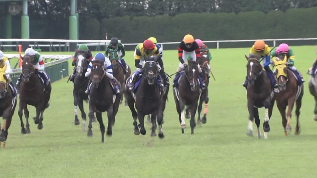 【競馬・シンザン記念】ライトクオンタム強すぎワロタｗｗｗｗｗｗｗｗｗｗｗ