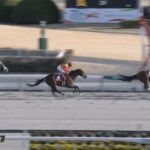 【競馬】東海Sはムルザバエフ騎乗のプロミストウォリアがV