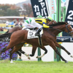 【競馬予想】[1]第63回京成杯(GⅢ) /2023