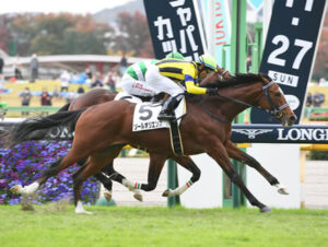 【競馬予想】[1]第63回京成杯(GⅢ) /2023