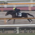 【日経新春杯2023】追い切り/抜群の動きを見せたのは