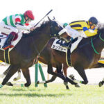 【3歳新馬】テンペストとは何だったのか