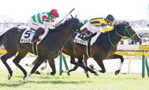 【3歳新馬】テンペストとは何だったのか