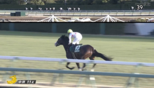 ●ポツン被害者の会