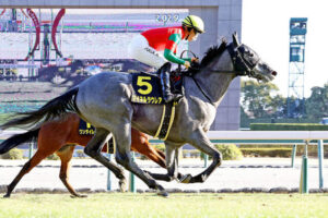 【若駒S】マイネルラウレア強すぎwwww