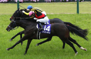 コントレイルよりフィエールマンの方が強くない？