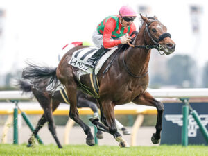 マイネルの王 レイベリング Mデムーロと新コンビで共同通信杯