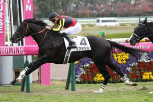 【シンザン記念】1番人気クファシルとは何だったのか