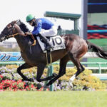 【競馬予想】[2]第63回京成杯(GⅢ) /2023