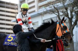 ホッコータルマエの強さを語るスレ