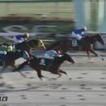 【競馬】根岸Sは戸崎騎乗のレモンポップがV