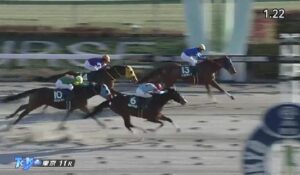 【競馬】根岸Ｓは戸崎騎乗のレモンポップがＶ