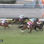 【競馬】日経新春杯はイーガン騎乗のヴェルトライゼンデがV