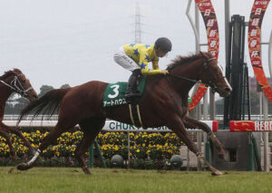 【愛知杯】アートハウス強すぎワロタwww