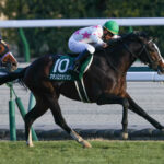 【競馬予想】第61回京都金杯(GⅢ) /2023