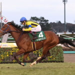 ソールオリエンス横山武史「他馬に迷惑かけて申し訳ない気持ちです」