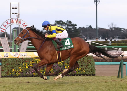 ソールオリエンス横山武史「他馬に迷惑かけて申し訳ない気持ちです」