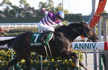 【京都金杯】イルーシヴパンサーが抜け出し復活V！重賞2勝目