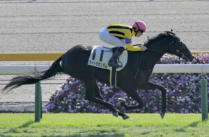 7頭立てのシンザン記念に重賞の価値はあるのか？