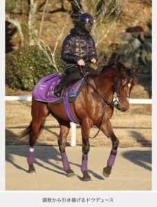 俺たちのドウデュースが肥えて帰ってきた！