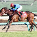 パンサラッサはサウジカップ出走 矢作厩舎3頭のサウジアラビア遠征が正式決定