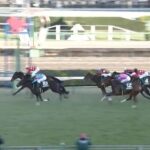 【競馬】フェアリーSは杉原騎乗のキタウイングがV