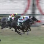 【競馬】シルクロードSは浜中騎乗のナムラクレアがV