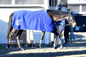 【2歳新馬】超良血テンペスト(母シーザリオ)横山武史でデビュー