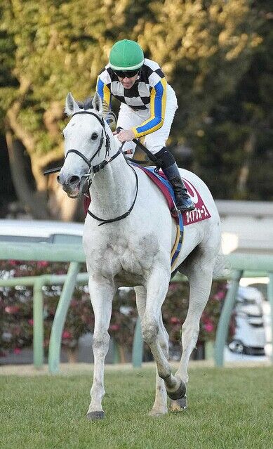 【AJCC】単勝1.8倍ガイアフォース弱すぎワロタwww