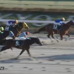 【根岸ステークス2023】結果・動画/レモンポップが断然人気に応え快勝
