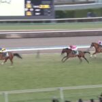 【京成杯2023】結果・動画/ソールオリエンスが圧巻の決め手で差し切りV