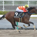 【競馬予想】[2]第40回東海ステークス(GII) /2023