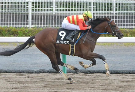 【競馬予想】[2]第40回東海ステークス(GII) /2023