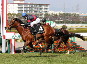 アルバートドックがイタリアリーディングサイアーになっていた件