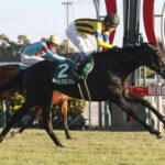 【シンザン記念】ディープ最終世代ライトクオンタムが完勝!無傷2連勝V