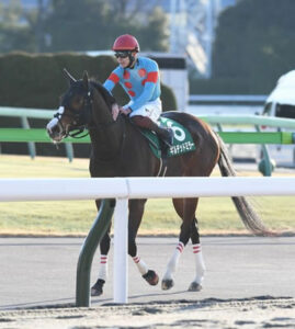 【根岸Ｓ】２着ギルデッドミラー三浦「勝ち切れずに申し訳ありません」