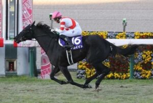 21年エリ女優勝のアカイイトが引退 繁殖入り