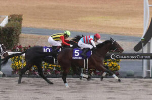 クラウンプライドは次走フェブラリーSへ