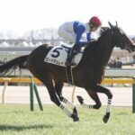 【3歳新馬】新星現る!ロードデルレイ鬼脚さく裂wwwww