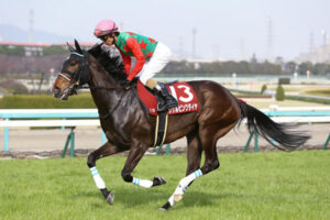 シゲルピンクダイヤ1億5000万円で落札される！ 04年以降の繁殖馬セールで最高価格