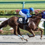 【競馬予想】[2]第37回根岸ステークス(GIII) /2023