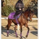 【競馬】ドウデュースが始動