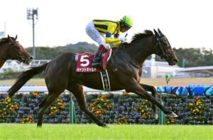 ヴァンドギャルドがサウジカップ選出 ダート初挑戦へ