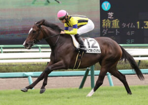 【フェアリーS】1番人気11着ヒップホップソウル弱すぎwwwwww