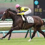 【競馬予想】第39回フェアリーステークス(GⅢ) /2023