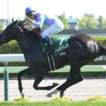 【競馬予想】[2]第28回シルクロードステークス(GⅢ) /2023