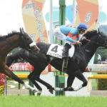 【競馬予想】[1]第64回アメリカジョッキークラブカップ(GII) /2023