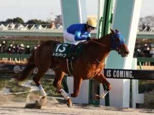 レモンポップこれでフェブラリーSは要らなくなった件