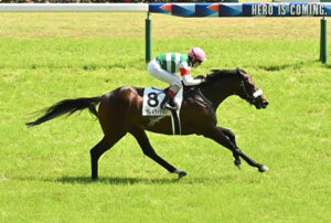 【初富士S】キズナの希望、パラレルヴィジョン3勝クラスで逝く