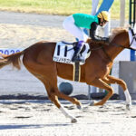 【競馬予想】[1]第40回東海ステークス(GII) /2023